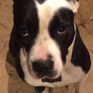 Meet your Posher, Gene